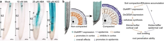 ˮ������Ӧ��������ĵ��ػ���