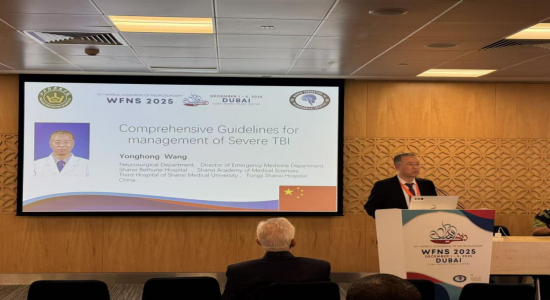 ���������������ϯ��ʮ�Ž���������ƴ��(WFNS 2025)