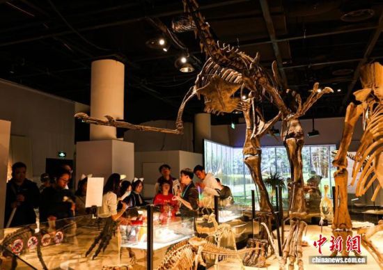 “龙吟九州·中国恐龙大展”备受热捧。上海科技馆 供图 “龙吟九州·中国恐龙大展”备受热捧。上海科技馆 供图