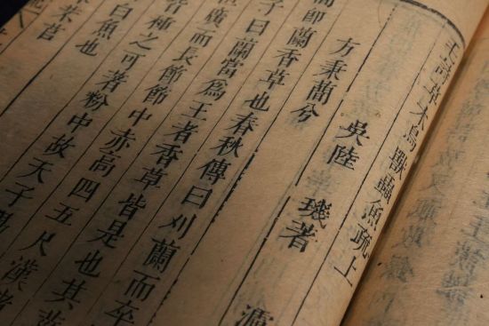 《毛诗草木鸟兽虫鱼疏》。 主办方供图 《毛诗草木鸟兽虫鱼疏》。 主办方供图