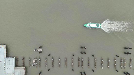 ���˻�Эͬ������չִ���� �Ϻ������ֹ�ͼ