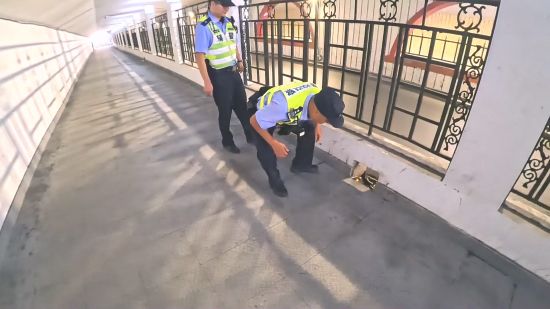 静安民警开展防台防汛前置排查。静安公安供图 静安民警开展防台防汛前置排查。静安公安供图