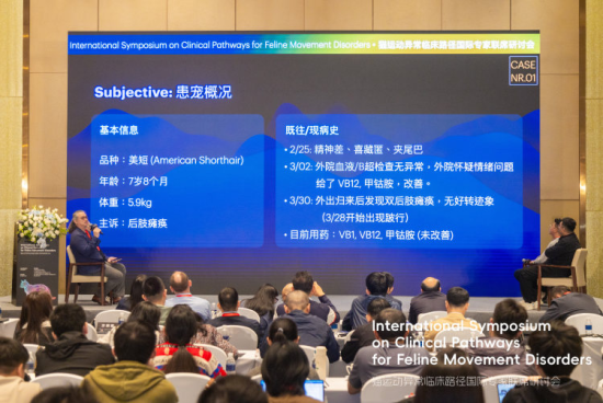 中外专家在“猫运动异常临床路径国际专家联席研讨会”上分析猫咪后肢瘫痪病例。 中外专家在“猫运动异常临床路径国际专家联席研讨会”上分析猫咪后肢瘫痪病例。