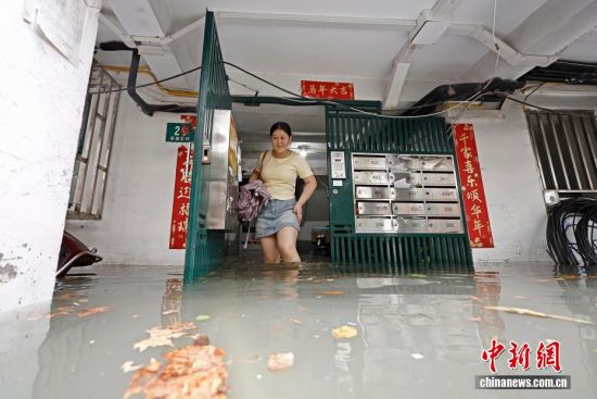 8月9日,受台风“白海豚”影响,上海普降大雨,相关各方展开排水抢险行动,全力保障民生安全与城市运行。图为在上海市长宁区紫云路上的联建新村,市民涉水行走。 8月9日,受台风“白海豚”影响,上海普降大雨,相关各方展开排水抢险行动,全力保障民生安全与城市运行。图为在上海市长宁区紫云路上的联建新村,市民涉水行走。