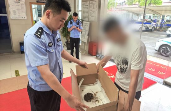 民警积极救助大风刮落下的斑鸠幼鸟。 民警积极救助大风刮落下的斑鸠幼鸟。