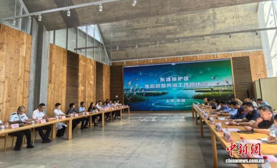 东滩保护区生态数智共治工作现场会3日举行。(中新网记者 陈静 摄) 东滩保护区生态数智共治工作现场会3日举行。(中新网记者 陈静 摄)
