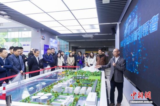 青吴嘉三地青年创业特训营活动现场。 青浦区委统战部供图 青吴嘉三地青年创业特训营活动现场。 青浦区委统战部供图
