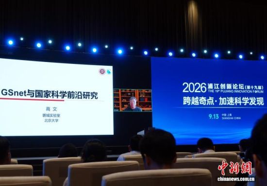 高文院士通过视频连线作报告。中新网记者 孙自法 摄 高文院士通过视频连线作报告。中新网记者 孙自法 摄