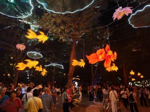 光影节吸引众多市民游客游客。中新网记者 姜煜 摄 光影节吸引众多市民游客游客。中新网记者 姜煜 摄