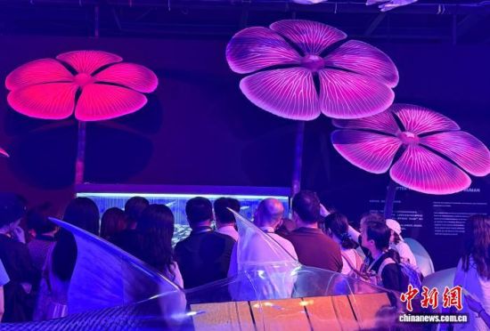 9月24日,“深时·从鱼到人”大型科普展在沪开幕。中新网记者 郑莹莹 摄 9月24日,“深时·从鱼到人”大型科普展在沪开幕。中新网记者 郑莹莹 摄