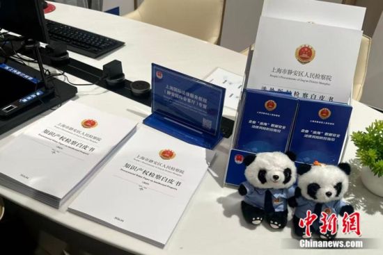 位于静安国际会客厅的“静界·检护营商”工作站一角。高萌 摄 位于静安国际会客厅的“静界·检护营商”工作站一角。高萌 摄
