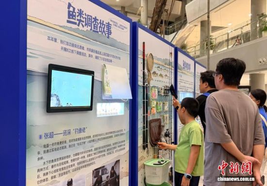 10月17日,“寻鱼沪上”上海淡水鱼类多样性主题展在上海自然博物馆开幕。中新网记者 郑莹莹 摄 10月17日,“寻鱼沪上”上海淡水鱼类多样性主题展在上海自然博物馆开幕。中新网记者 郑莹莹 摄