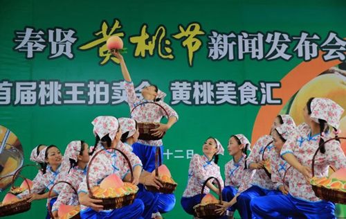 奉贤黄桃减产不减质 将首次启动黄桃桃王拍卖