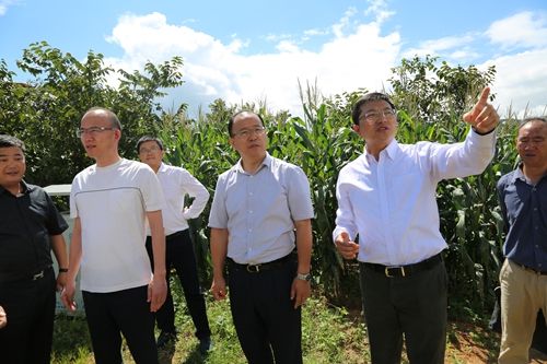 复星集团携手云南玉溪 共设PPP基金助力玉溪产业升级-中新社上海