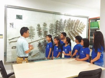 外观星、挖化石、夜探植物园…科普夏令营悄然