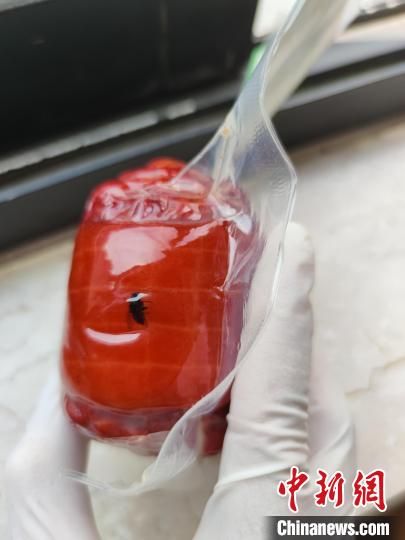 顺灏股份涨147%PG电子游戏- PG电子平台- PG电子官方网站成交额975635万元近3日主力净流入-799245万