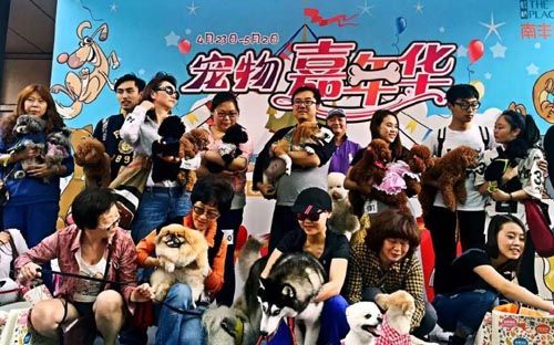 波奇网上演宠物嘉年华 - 上海新闻网