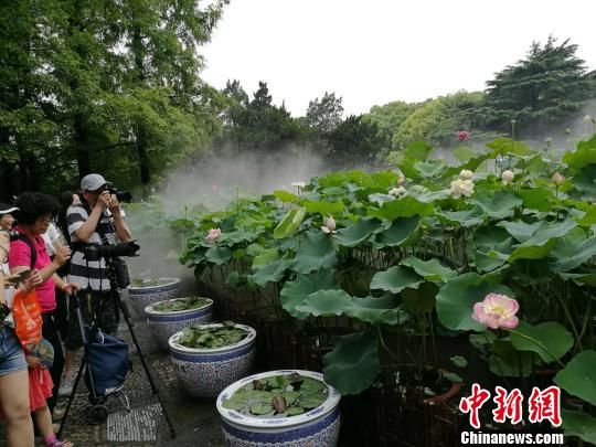 上海社科院发布中国农业上市公司品牌指数排名