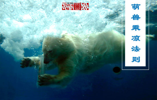 2016下半年光伏市场迎来严苛考验 苏美达顺势