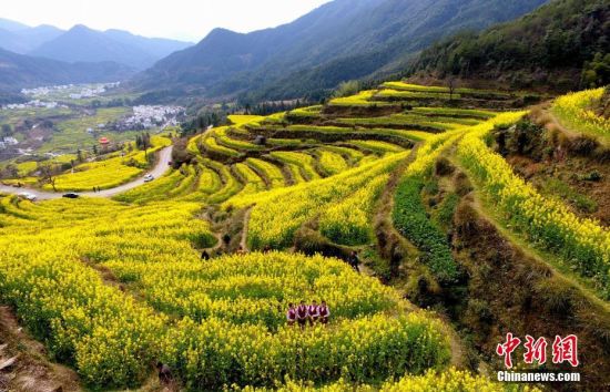 2017电视剧品质盛典举行 胡歌摘得品质硕果