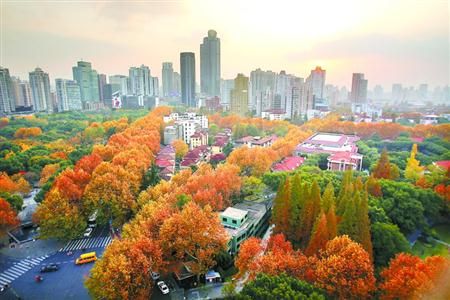 世贸商城变身美食城 亚米星球节引爆申城