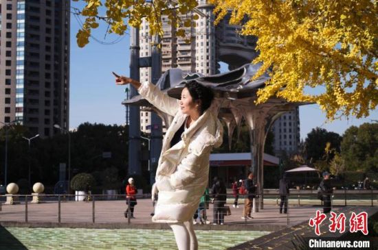 最佳观赏期将至 上海银杏树为街头披上“渐变色外衣”