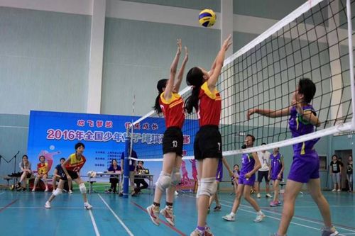 中国少年女子排球邀请赛冠军花落上海金山学子