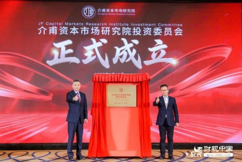 (������ʽ)