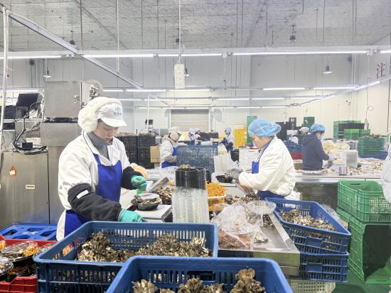  2��11�գ������ҵ������Ա���ڰ�װ�����ڰ�װ��������־�� ��