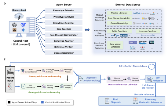 DeepRareϵͳ�����ܹ�ͼ