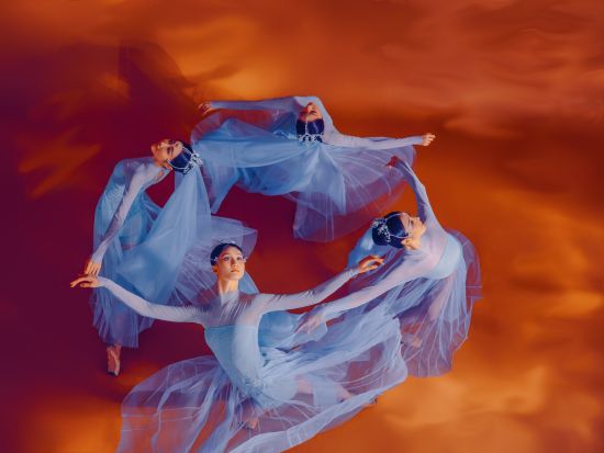 ԭ��������硶Ѱ��ľ��ķ����ױ�ա� �Ϻ��������� ��ͼ