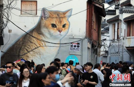 上海老街“变身”创意“猫街” 吸引民众前来打卡